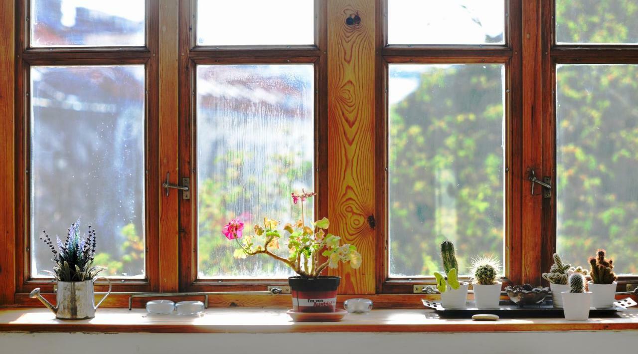 Vienna'S Most Charming Home Екстериор снимка